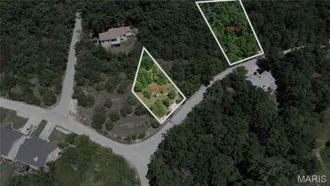 9628 Moonshine Drive Hillsboro MO 63050