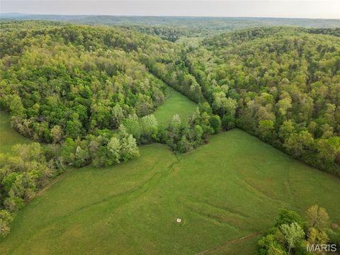 Tiny photo for 2937 Route F, Greenville, MO 63944 (MLS # 26024009)