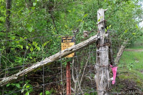 Tiny photo for 2937 Route F, Greenville, MO 63944 (MLS # 26024009)