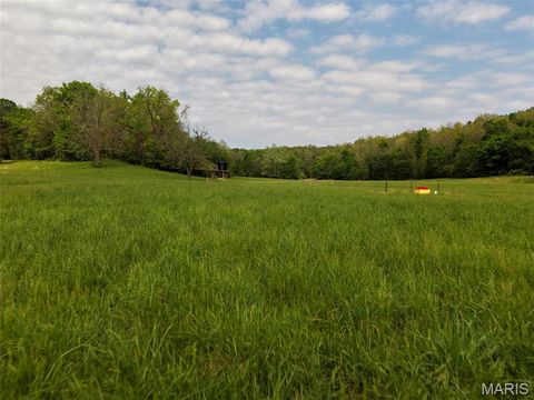 Tiny photo for 2937 Route F, Greenville, MO 63944 (MLS # 26024009)