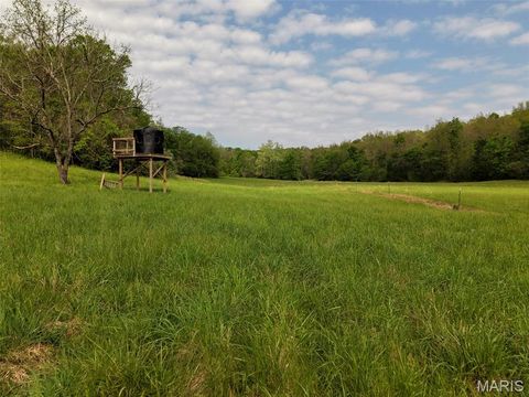 Tiny photo for 2937 Route F, Greenville, MO 63944 (MLS # 26024009)