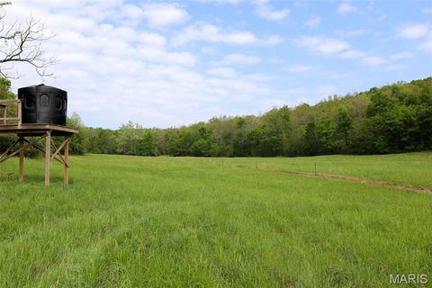 Tiny photo for 2937 Route F, Greenville, MO 63944 (MLS # 26024009)