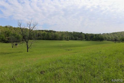 Tiny photo for 2937 Route F, Greenville, MO 63944 (MLS # 26024009)
