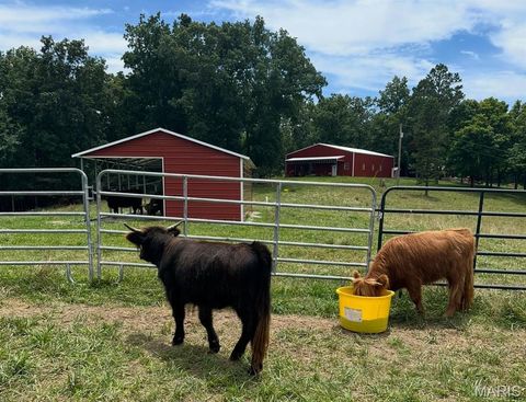 Tiny photo for 2937 Route F, Greenville, MO 63944 (MLS # 26024009)