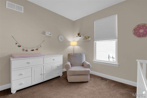Tiny photo for 515 Wilmer Hollow Lane, Wentzville, MO 63385 (MLS # 26020085)