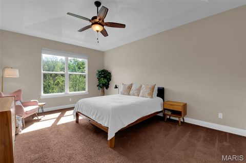 Tiny photo for 515 Wilmer Hollow Lane, Wentzville, MO 63385 (MLS # 26020085)