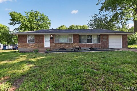 Photo of 1233 Bosworth Drive, St Louis, MO 63137 (MLS # 26026627)
