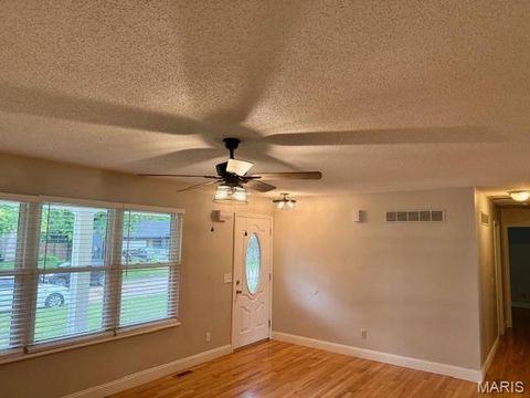 Tiny photo for 6 El Perro Drive, St Peters, MO 63376 (MLS # 26031258)
