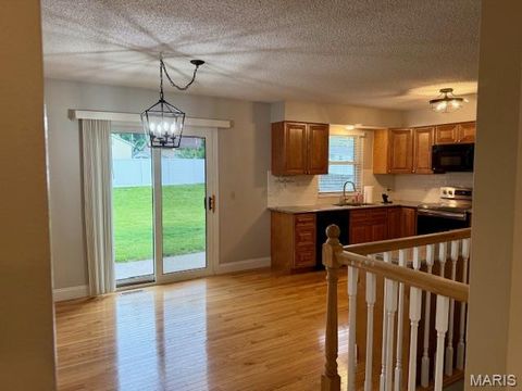 Tiny photo for 6 El Perro Drive, St Peters, MO 63376 (MLS # 26031258)