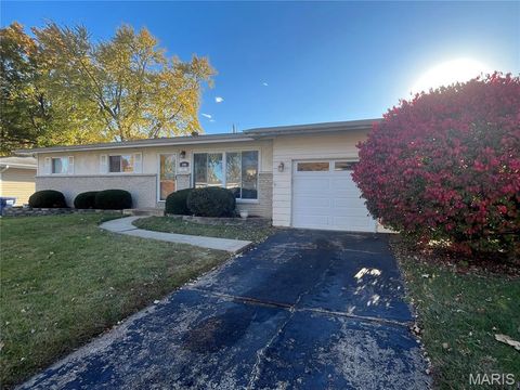 290 Francisca Drive Florissant MO 63031