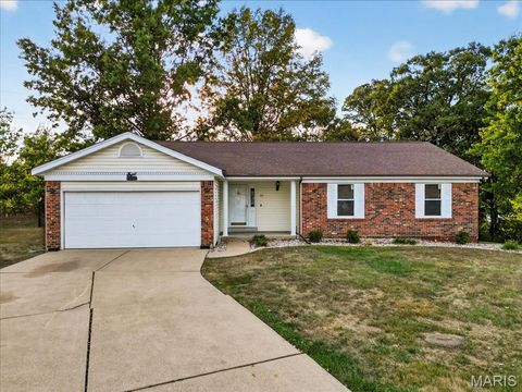 21 White Chapel Court O'Fallon MO 63368