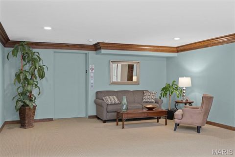 Tiny photo for 14300 Conway Meadows Court #202, Chesterfield, MO 63017 (MLS # 26013113)