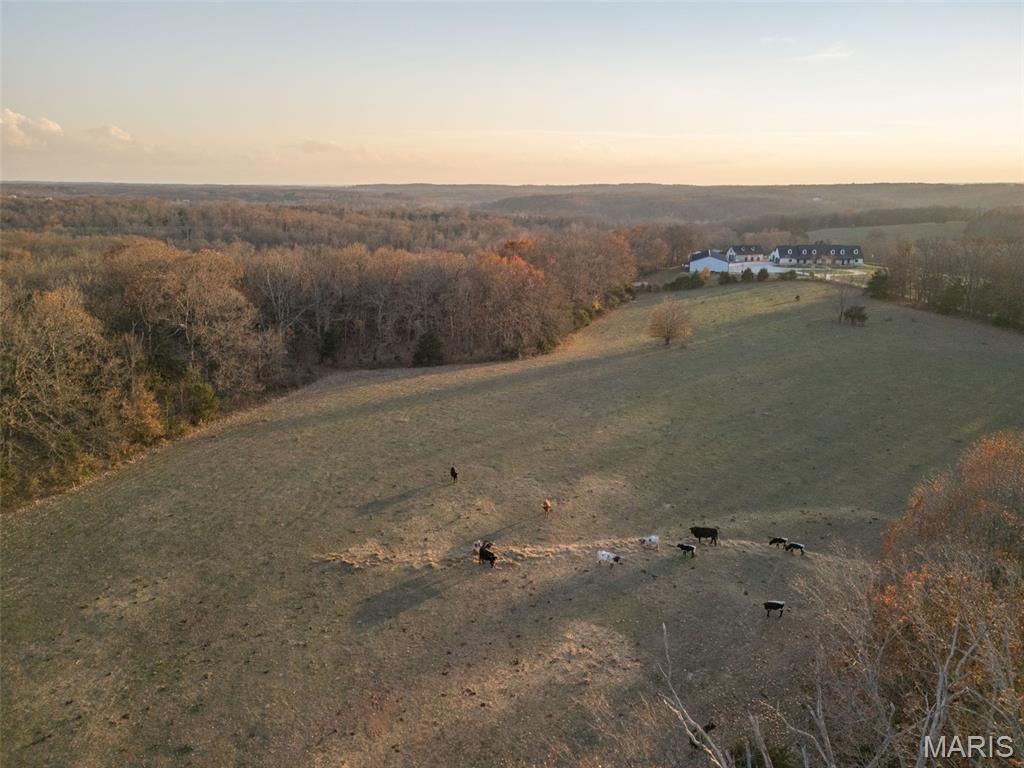Photo of 7816 Rye Creek Road, Lonedell, MO 63060 (MLS # 25078739)