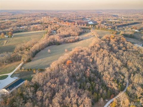 Photo of 7816 Rye Creek Road, Lonedell, MO 63060 (MLS # 25078739)