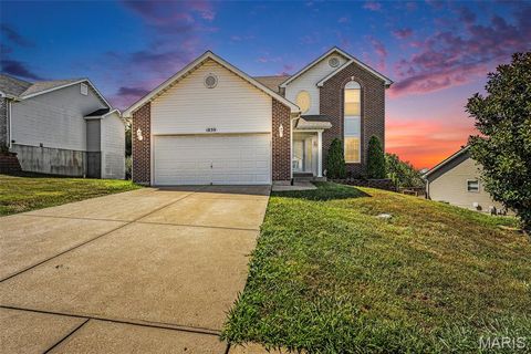 1839 Championship Lane Festus MO 63028