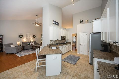 Tiny photo for 529 Crown Pointe Estates Court, Wildwood, MO 63021 (MLS # 25077065)