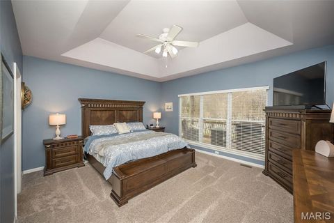Tiny photo for 529 Crown Pointe Estates Court, Wildwood, MO 63021 (MLS # 25077065)