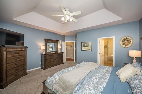 Tiny photo for 529 Crown Pointe Estates Court, Wildwood, MO 63021 (MLS # 25077065)