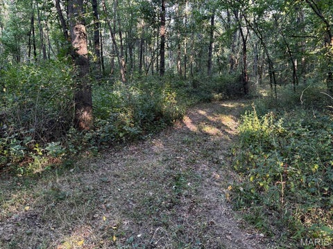 Tiny photo for 11117 Audrain Road 929, Mexico, MO 65265 (MLS # 26057162)