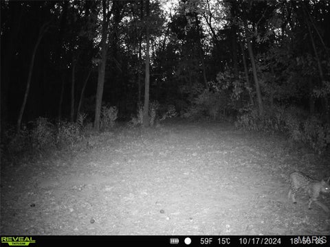 Tiny photo for 11117 Audrain Road 929, Mexico, MO 65265 (MLS # 26057162)