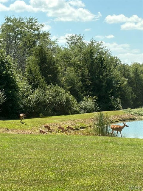 Tiny photo for 11117 Audrain Road 929, Mexico, MO 65265 (MLS # 26057162)