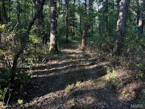 Tiny photo for 11117 Audrain Road 929, Mexico, MO 65265 (MLS # 26057162)