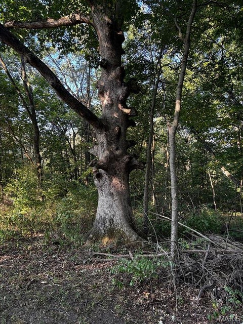 Tiny photo for 11117 Audrain Road 929, Mexico, MO 65265 (MLS # 26057162)