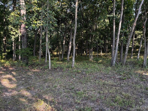 Tiny photo for 11117 Audrain Road 929, Mexico, MO 65265 (MLS # 26057162)