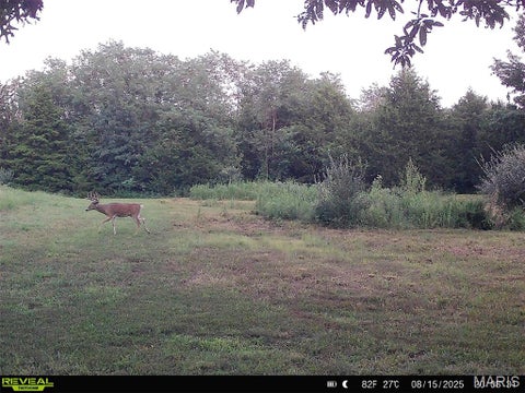 Tiny photo for 11117 Audrain Road 929, Mexico, MO 65265 (MLS # 26057162)