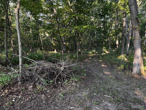 Tiny photo for 11117 Audrain Road 929, Mexico, MO 65265 (MLS # 26057162)