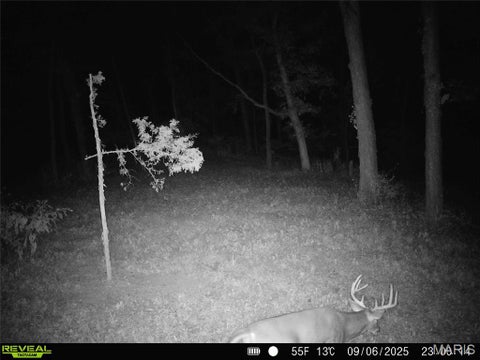 Tiny photo for 11117 Audrain Road 929, Mexico, MO 65265 (MLS # 26057162)