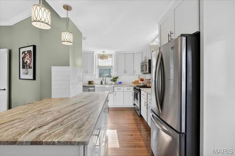 Tiny photo for 404 Clark Avenue, Webster Groves, MO 63119 (MLS # 26001515)