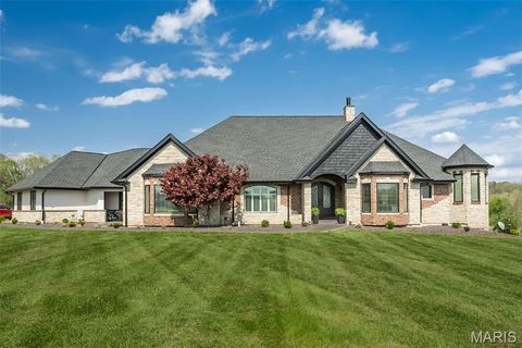 Photo of 213 Appleton Lane, Wentzville, MO 63385 (MLS # 26022906)