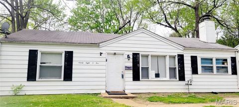 Photo of 9805 Dennis Drive, Unincorporated, MO 63136 (MLS # 26022935)