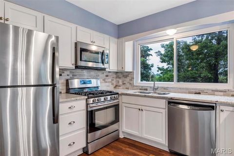 Tiny photo for 157 Spring Leigh Court, Ballwin, MO 63011 (MLS # 26014788)