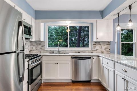 Tiny photo for 157 Spring Leigh Court, Ballwin, MO 63011 (MLS # 26014788)