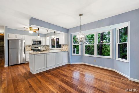 Tiny photo for 157 Spring Leigh Court, Ballwin, MO 63011 (MLS # 26014788)