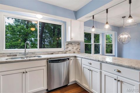 Tiny photo for 157 Spring Leigh Court, Ballwin, MO 63011 (MLS # 26014788)