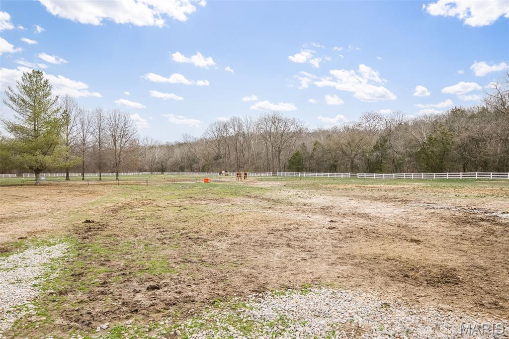 Morgans Meadow - Farm