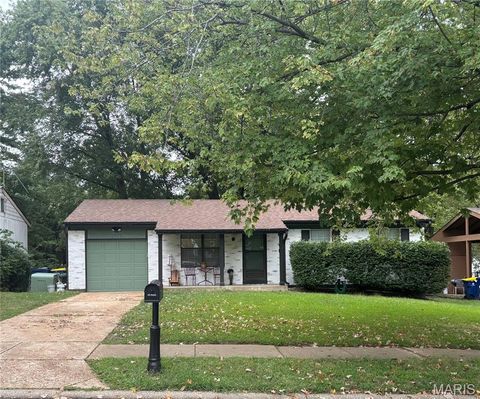 3715 Saint Kevin Park Drive St Ann MO 63074
