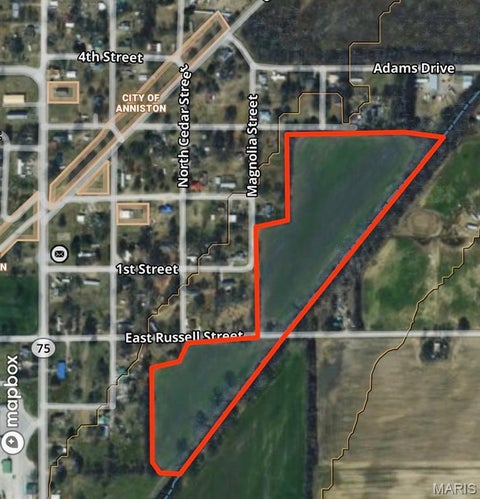 Photo of 0 Russell Street, Charleston, MO 63820 (MLS # 26068279)