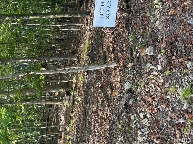 110 Steeple Point Dr. Lot # 14 Drive