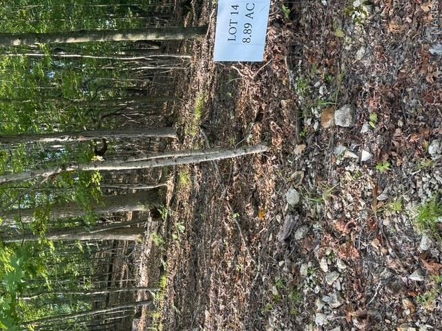 110 Steeple Point Dr. Lot # 14 Drive