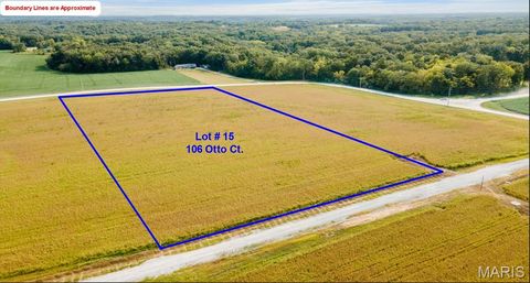 Photo of 106 Otto Court, Silex, MO 63377 (MLS # 26020412)
