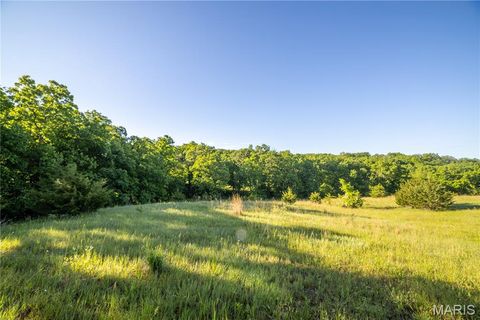 Tiny photo for 11953 Apollo, Unincorporated, MO 64631 (MLS # 25035041)