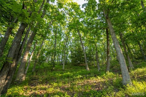 Tiny photo for 11953 Apollo, Unincorporated, MO 64631 (MLS # 25035041)