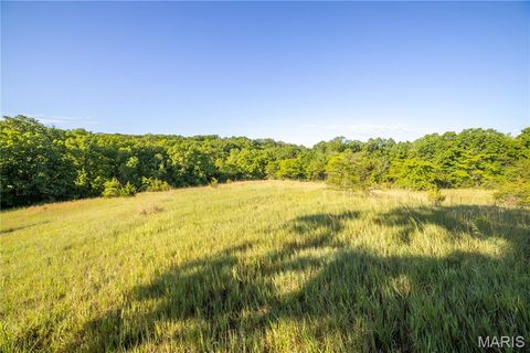 Tiny photo for 11953 Apollo, Unincorporated, MO 64631 (MLS # 25035041)