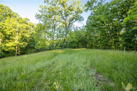 Tiny photo for 11953 Apollo, Unincorporated, MO 64631 (MLS # 25035041)