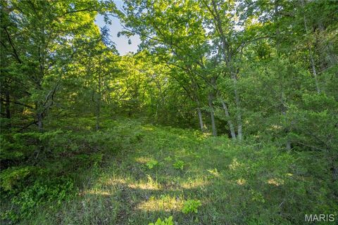 Tiny photo for 11953 Apollo, Unincorporated, MO 64631 (MLS # 25035041)
