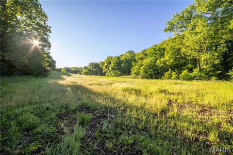 Tiny photo for 11953 Apollo, Unincorporated, MO 64631 (MLS # 25035041)